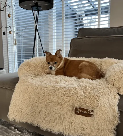 Pelsbarn Calming Bed